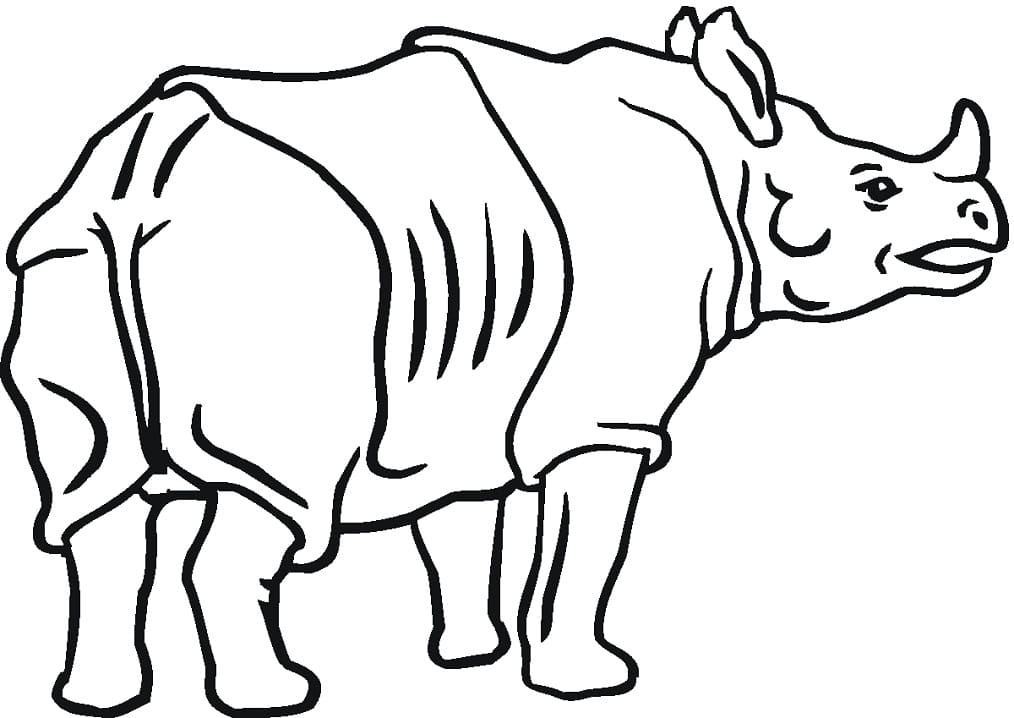 Coloriage Un Rhinocéros