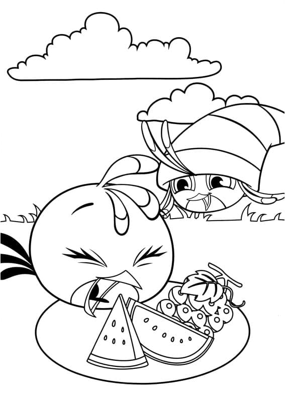 Coloriage Angry Birds Stella et Willow
