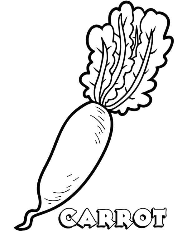 Carotte 4 coloring page