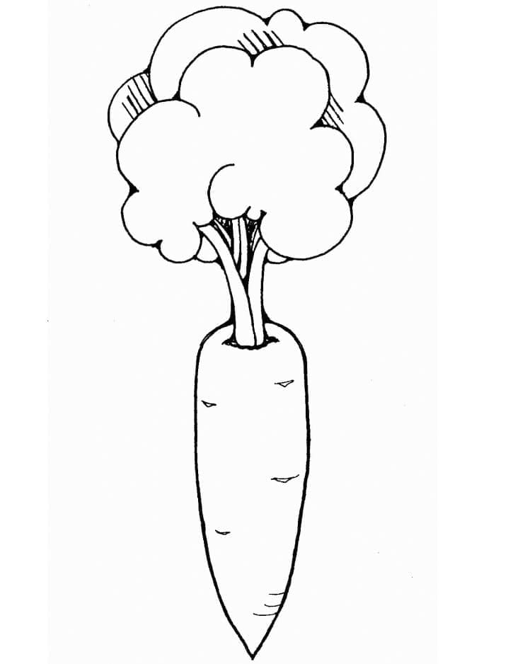 Carotte Imprimable coloring page