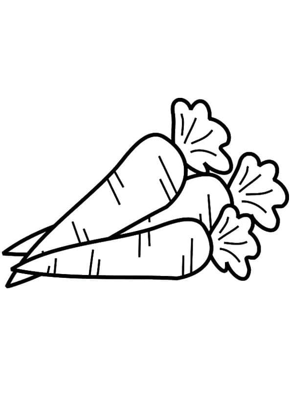 Carottes coloring page