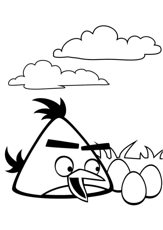 Coloriage Chuck Angry Birds