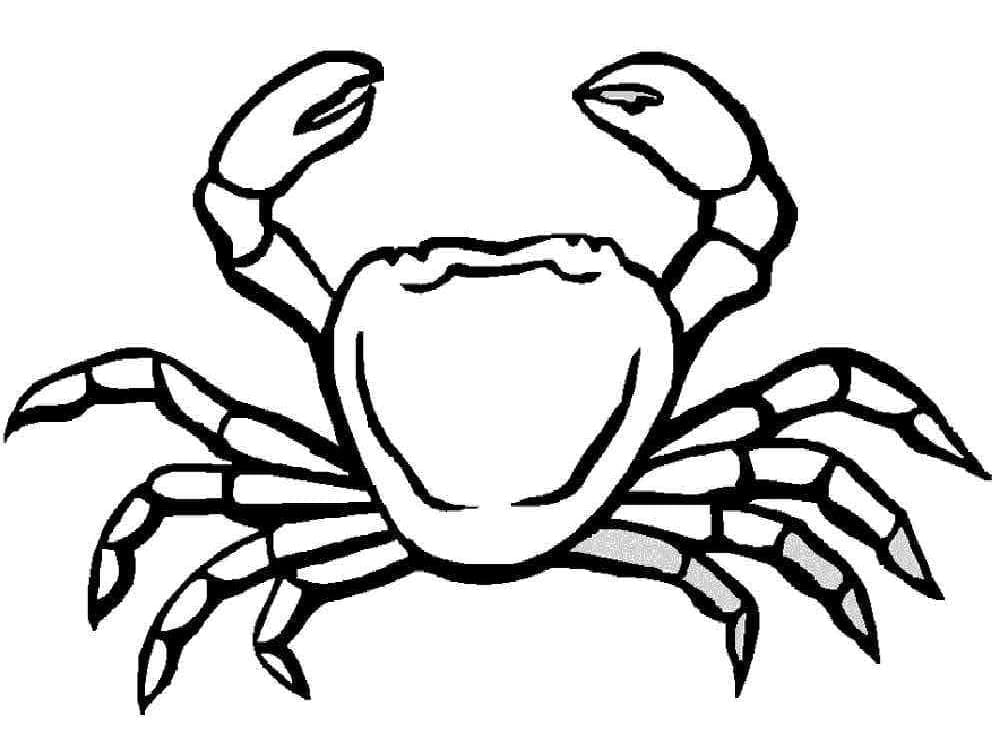 Coloriage Crabe Normal