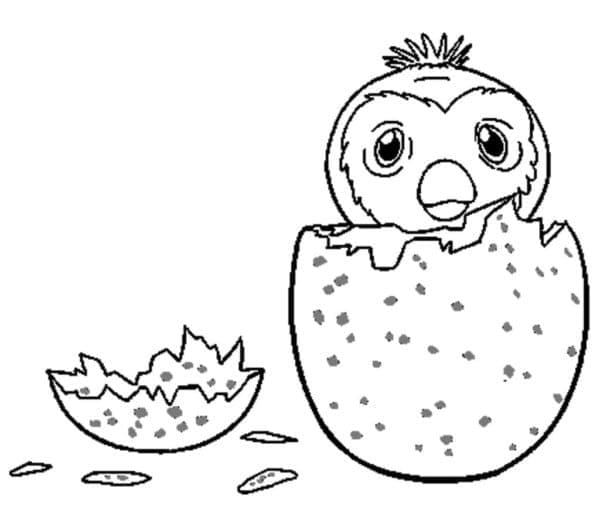 Coloriage Dessin de Hatchimals Gratuit