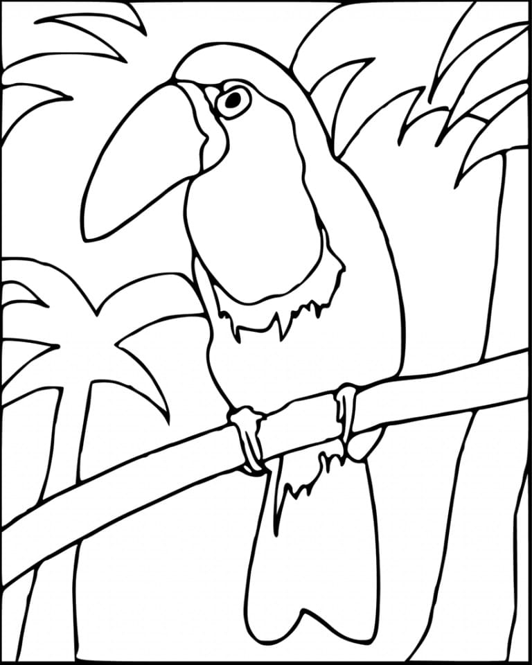 Coloriage Dessin d'Oiseau Toucan