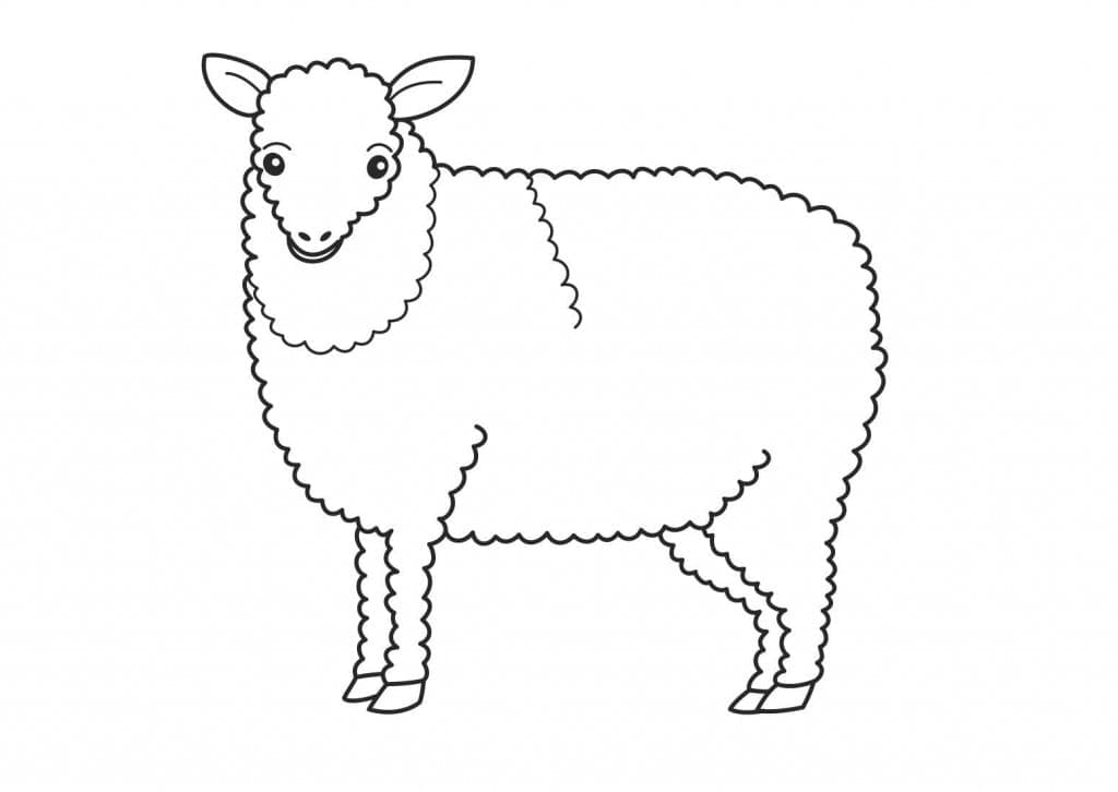 Dessin Gratuit de Mouton coloring page