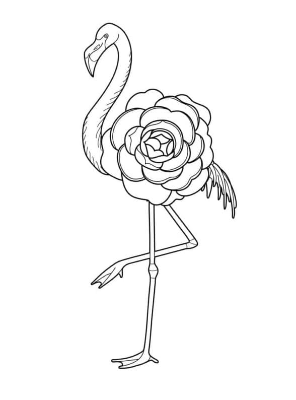 Coloriage Flamant Rose Imprimable