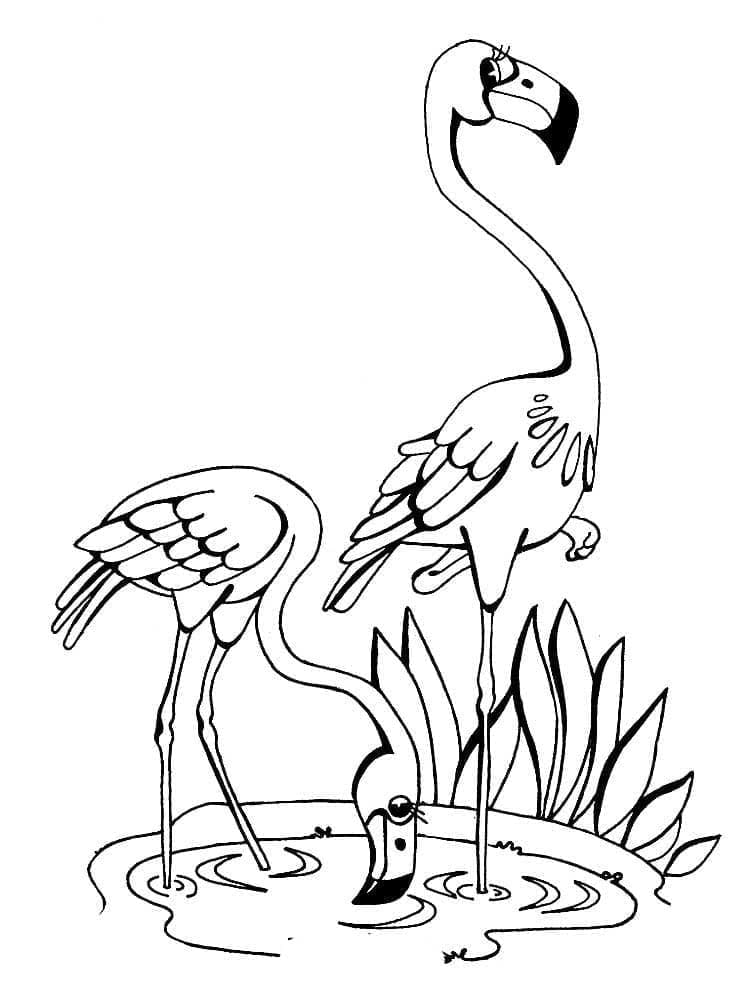 Coloriage Flamants Roses