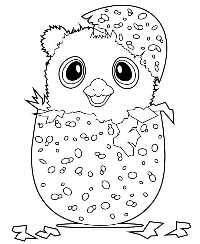 Coloriage Hatchimals Pour Enfants