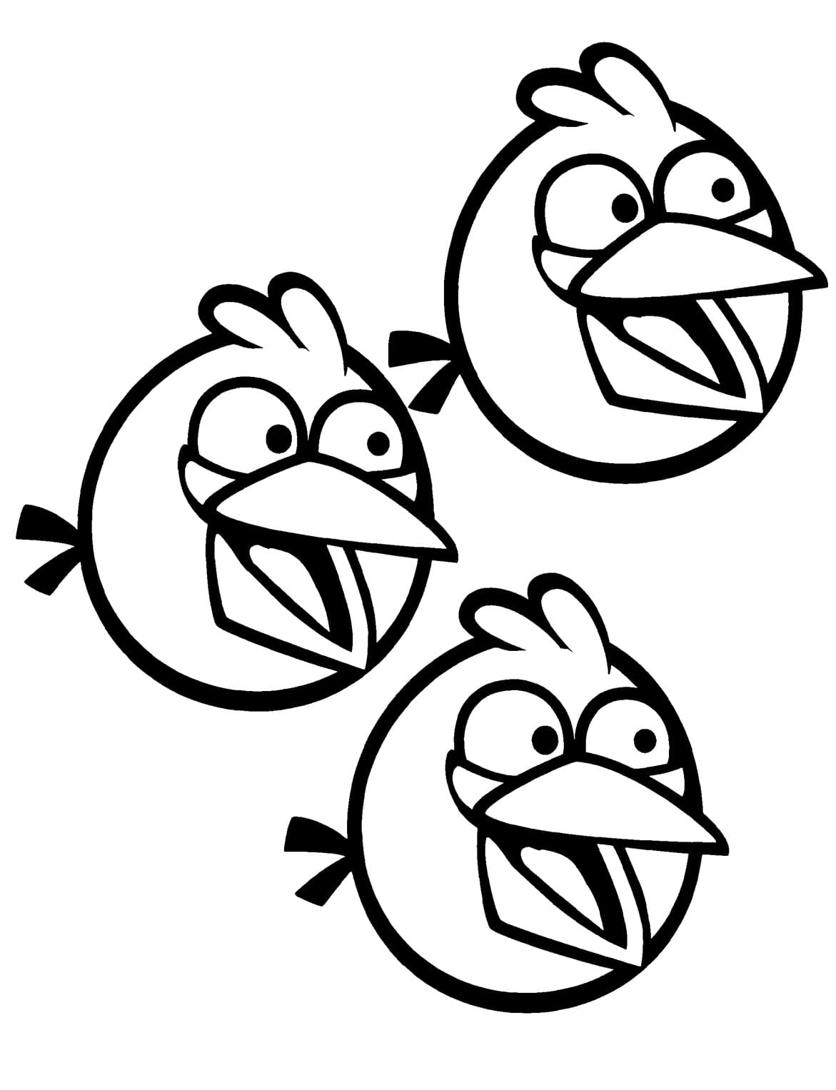 Coloriage Jim, Jake et Jay Angry Birds