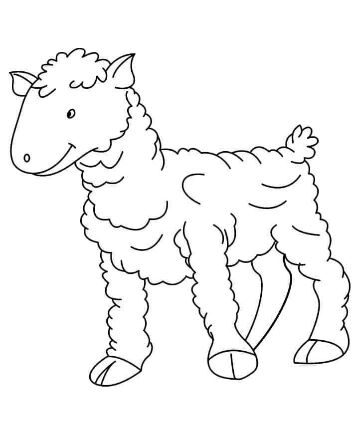Coloriage Mouton 3
