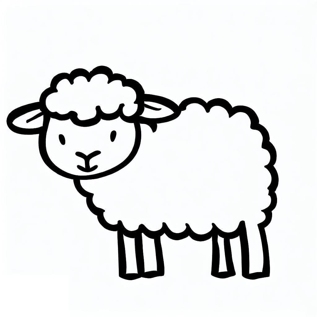 Coloriage Mouton 6