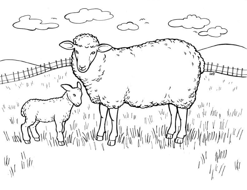 Coloriage Mouton et Agneau