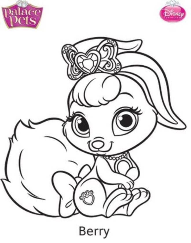 Palace Pets Berry coloring page