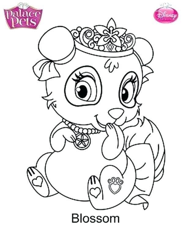 Palace Pets Blossom coloring page