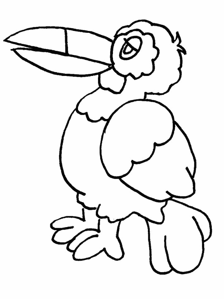 Coloriage Petit Toucan