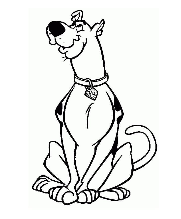 Scooby Doo 8 coloring page