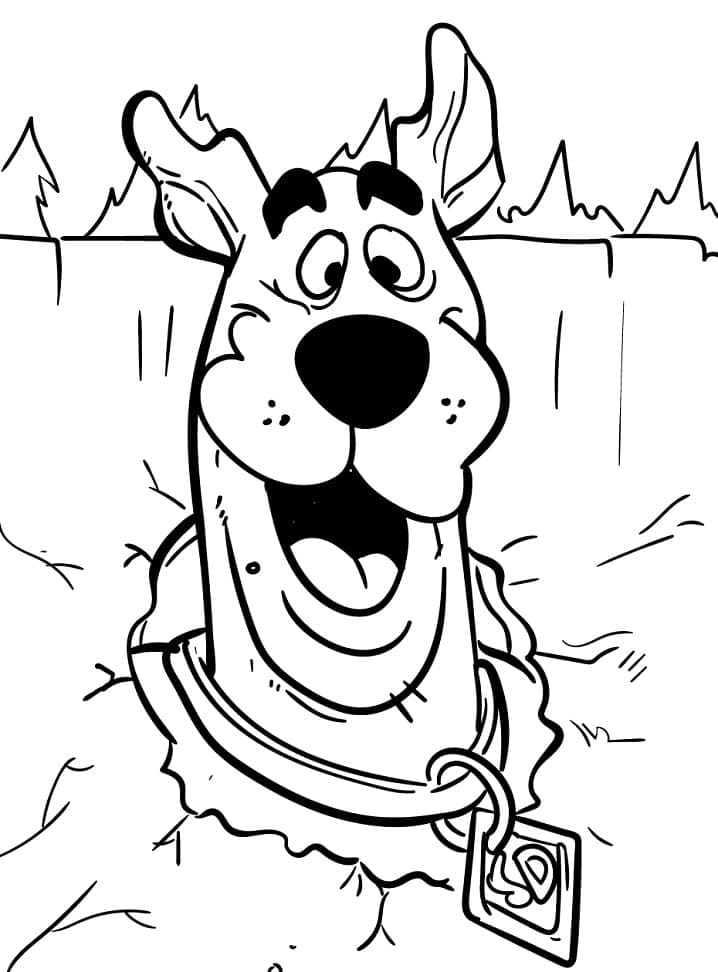 Scooby Doo 9 coloring page