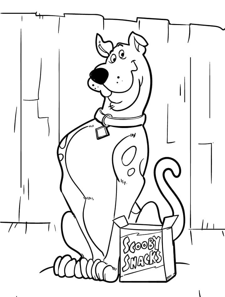 Scooby Doo et Boîte à Goûter coloring page