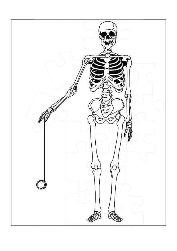 Squelette Joue au Yoyo coloring page