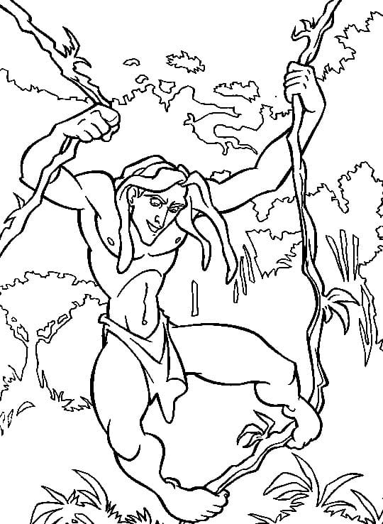 Coloriage Tarzan dans la Forêt