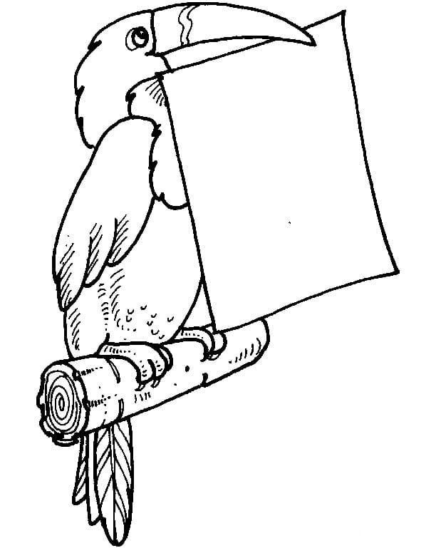 Coloriage Toucan avec un Papier