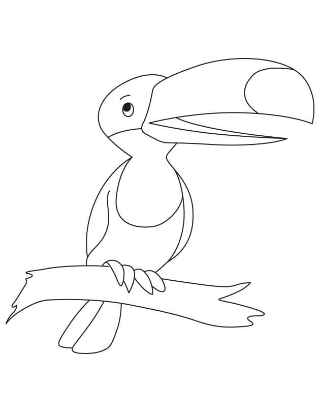 Coloriage Toucan Mignon