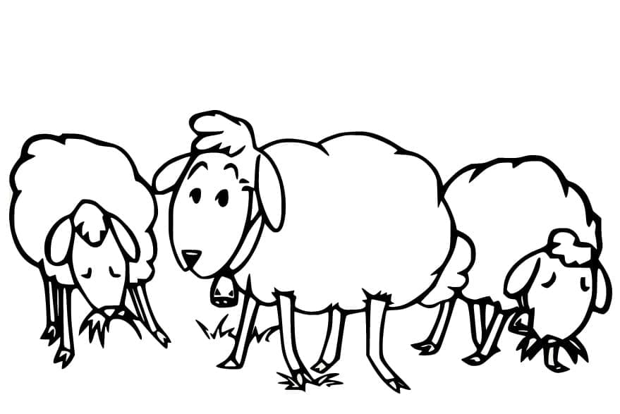 Coloriage Trois Moutons