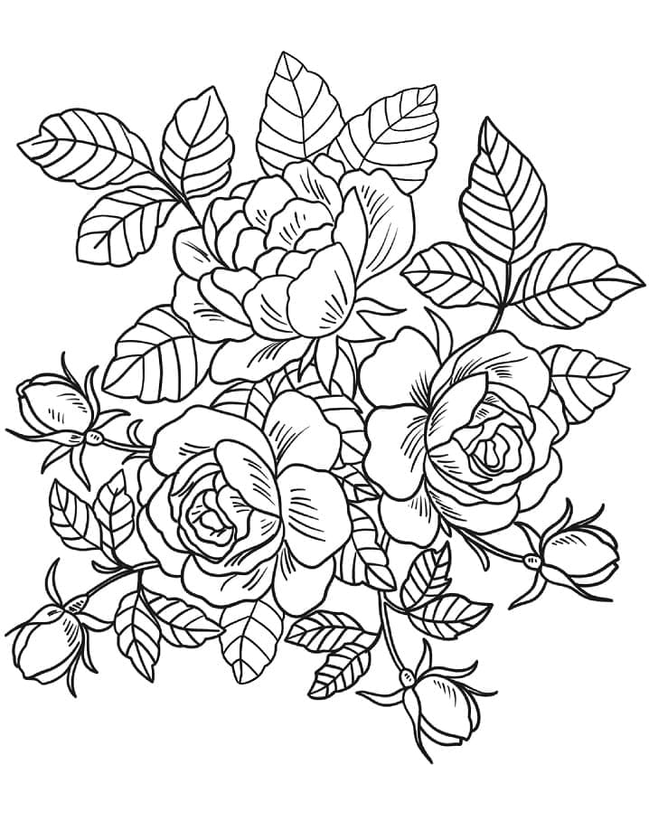 Coloriage Un Bouquet de Roses