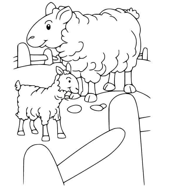 Coloriage Un Mouton et un Agneau