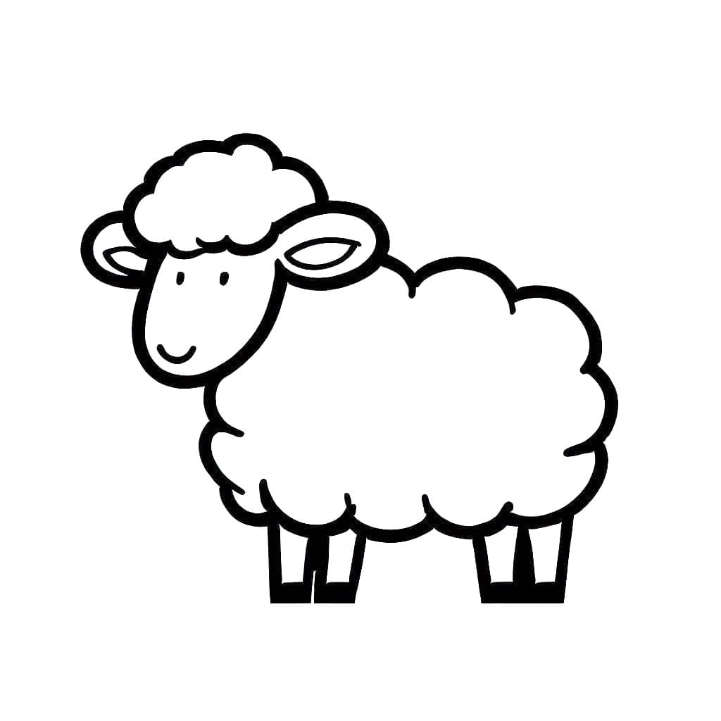 Coloriage Un Mouton Simple