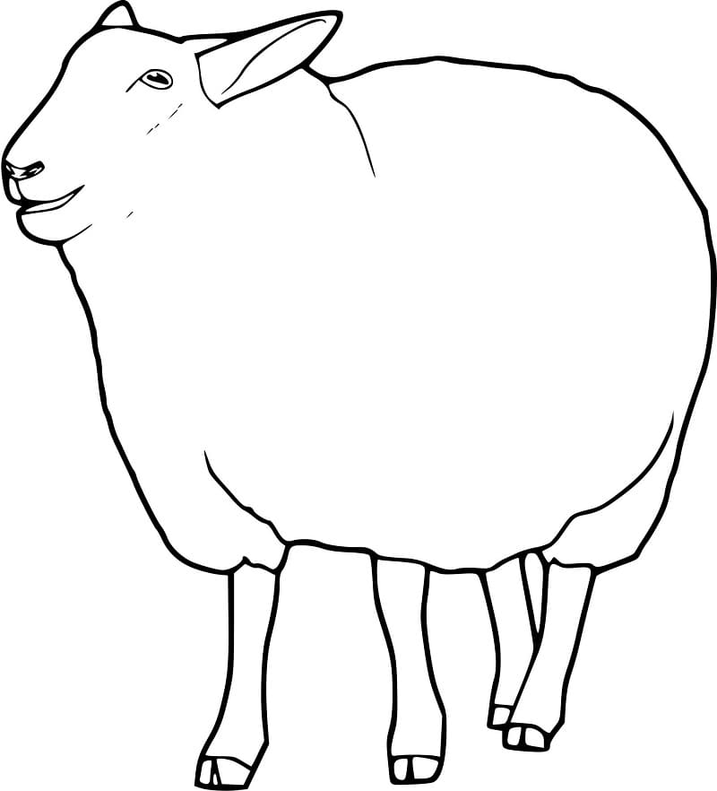 Un Mouton coloring page