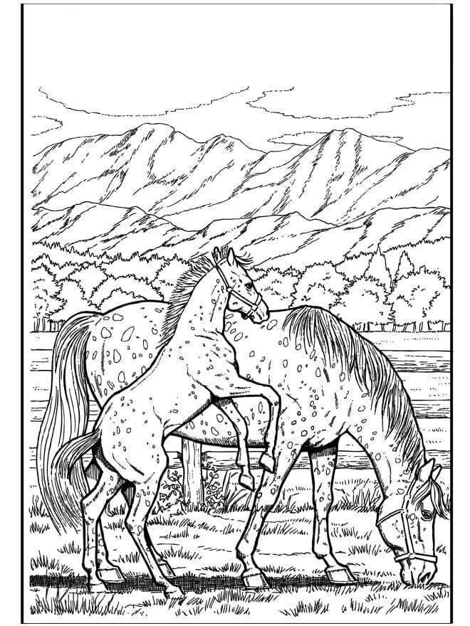 Coloriage Adulte Cheval 5