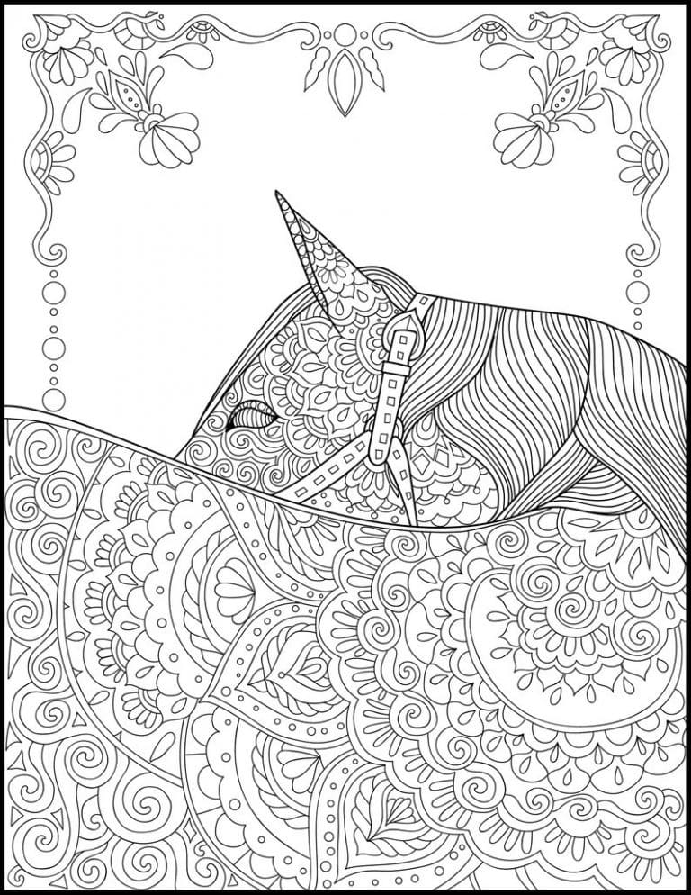 Coloriage Adulte Cheval 6