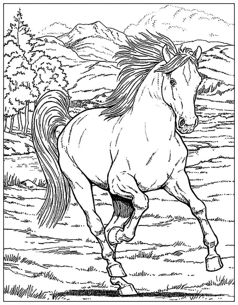 Coloriage Adulte Cheval 8