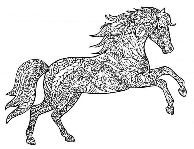Coloriage Adulte Cheval 9