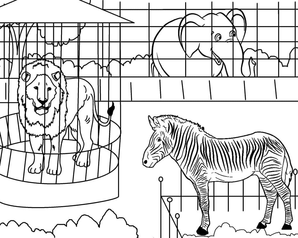 Au Zoo coloring page
