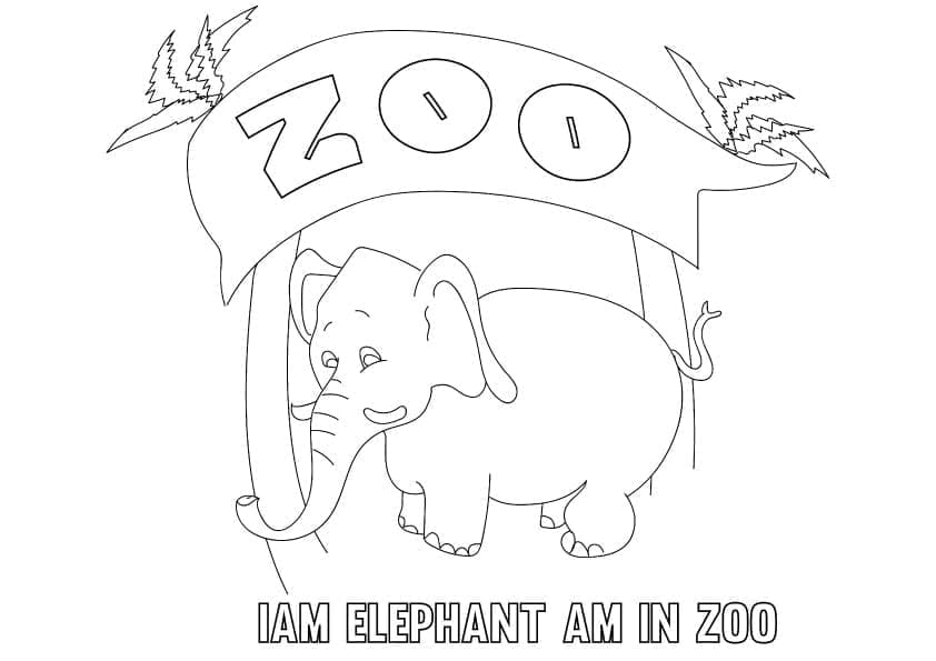 Coloriage Éléphant du Zoo