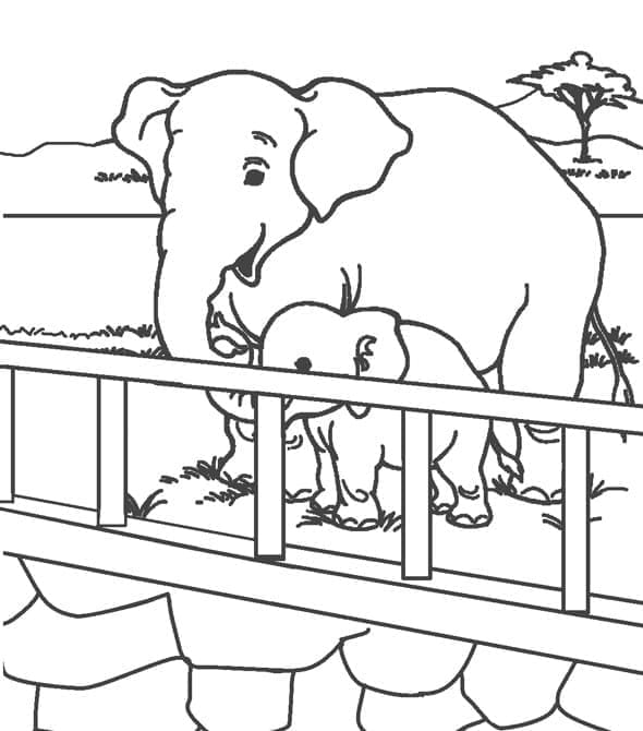 Éléphants du Zoo coloring page