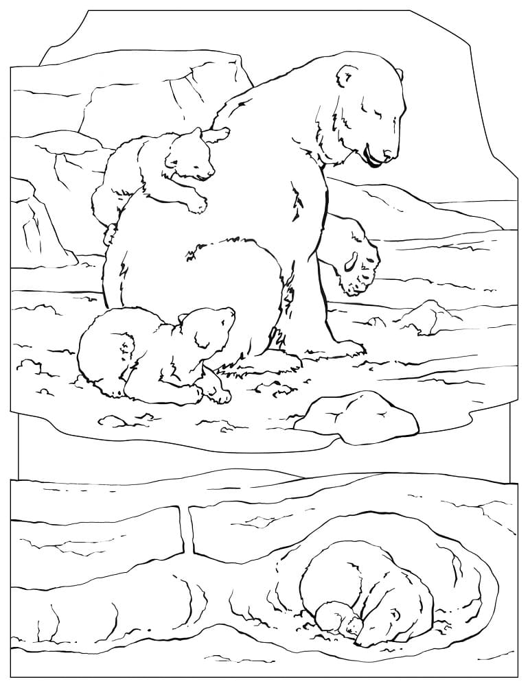 Famille d’ours polaires coloring page