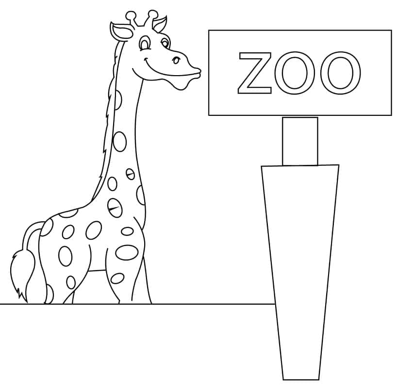 Coloriage Girafe du Zoo