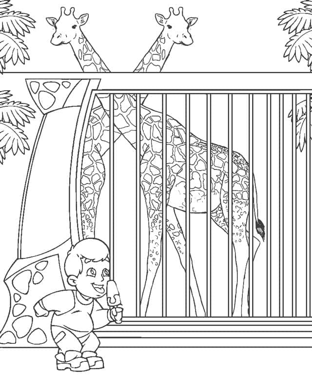 Girafes du Zoo coloring page
