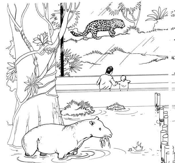 Coloriage Image d'Animaux du Zoo