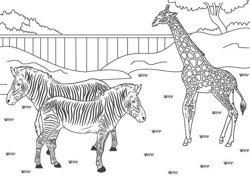 Image du Zoo coloring page