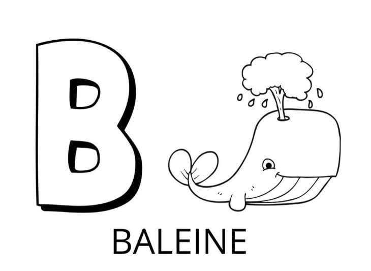 Coloriage Lettre B -Baleine