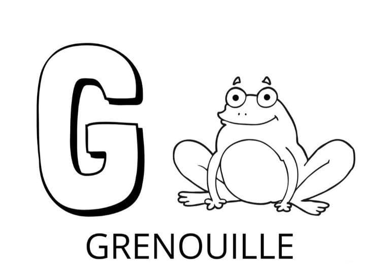 Lettre G – Grenouille coloring page