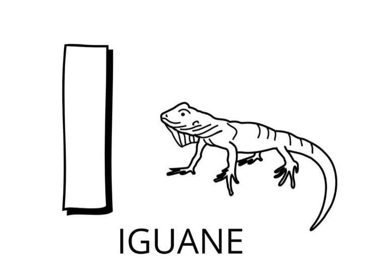 Coloriage Lettre I - Iguane