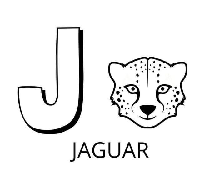 Coloriage Lettre J - Jaguar