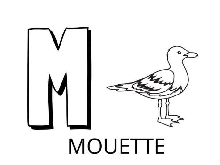 Coloriage Lettre M - Mouette