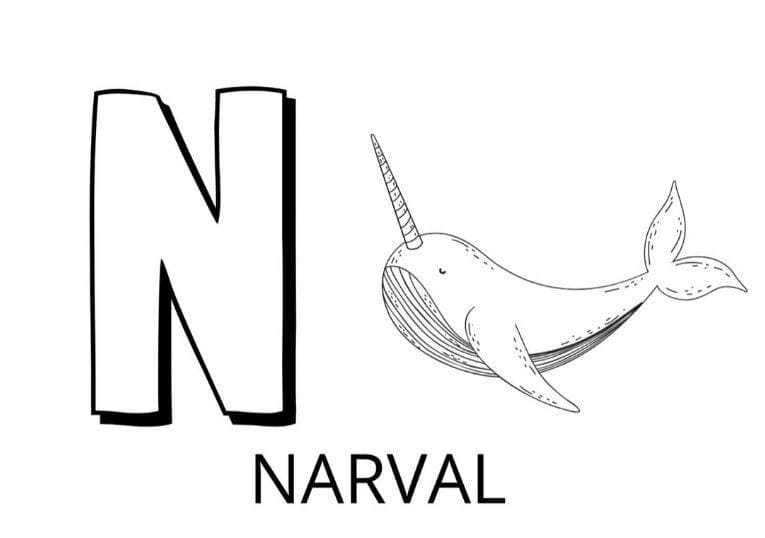 Lettre N – Narval coloring page